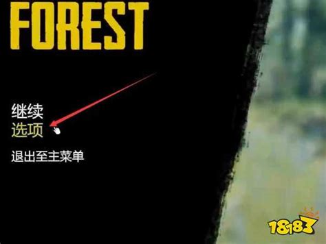 森林怎么显示队友名字