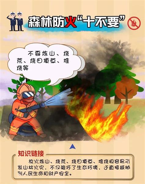 森林防火家长的意见和建议