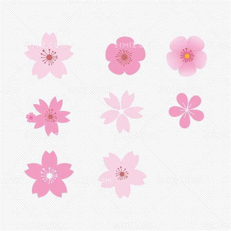 樱花花瓣的形状