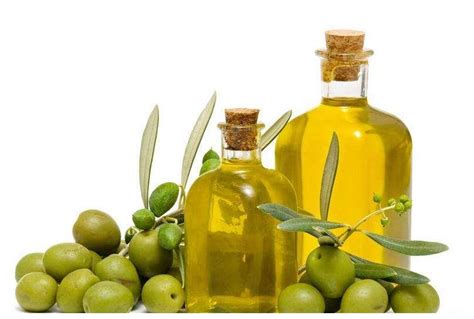 橄榄油的主要成分是什么