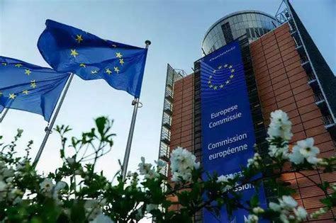 欧盟知识产权局成立