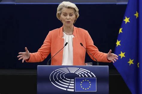 欧盟访华官员回应反补贴调查