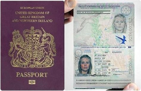 欧美人护照照片