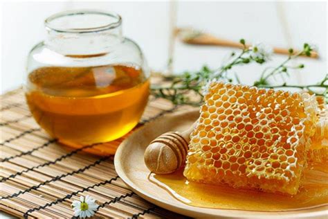 正宗土蜂蜜的鉴别方法