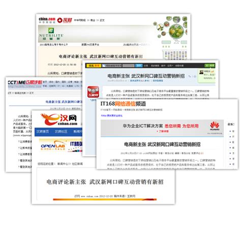武汉国内网站建设口碑公司