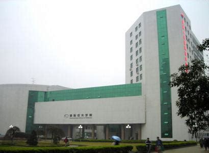 武汉大学国际软件学院