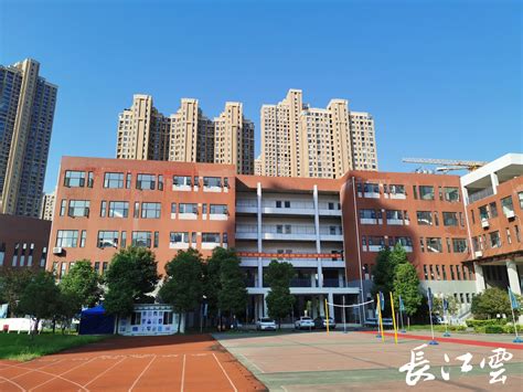 武汉市东湖中学网站