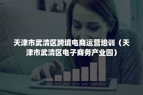 武清区推广电商平台代理价格