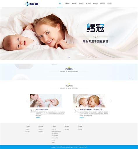 母婴行业网站建设案例