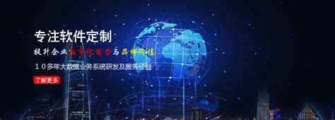 永州网站优化软件开发公司