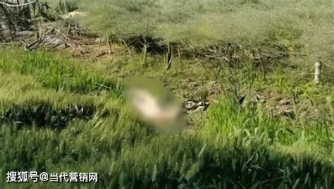 江苏警方发现三名女尸
