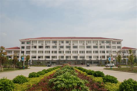 江西seo学校