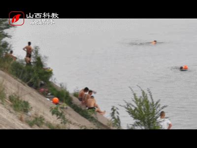 汾河野泳事件视频