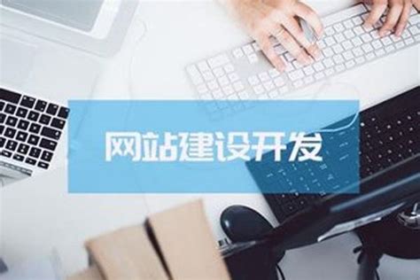 沛县专业网站优化设计