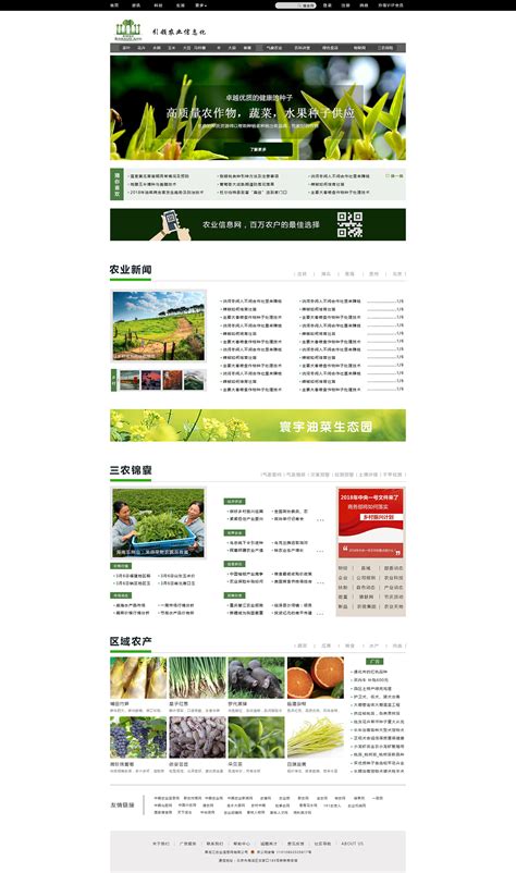 沧州农业行业网站制作
