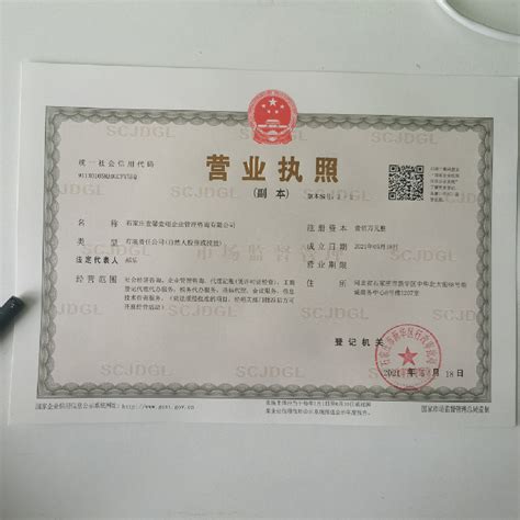 沧州电器公司注册