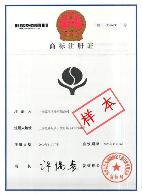 河北国际工商注册