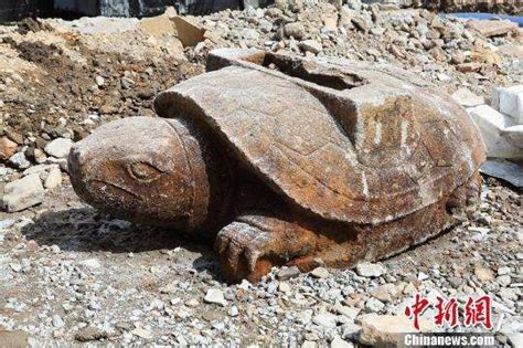 河北省挖出巨大石龟