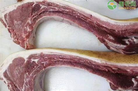 河南商丘猪肉多少钱一斤