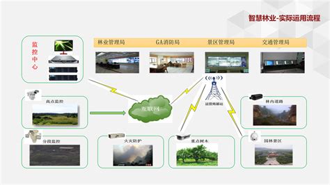 河南智慧林业管护系统