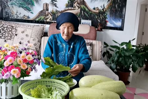 河南82岁老奶奶种菜