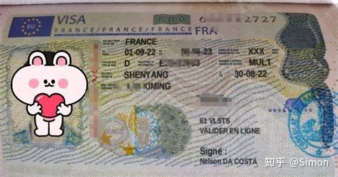 法国签证面签没过