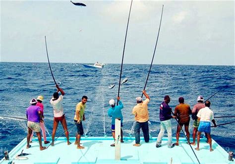 海南海边钓鱼方法与技巧