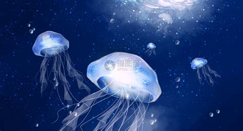 海底庞大水母群介绍