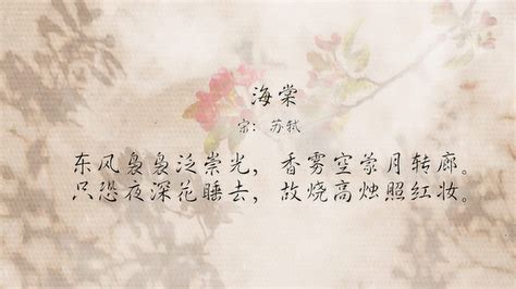 海棠苏轼朗诵视频