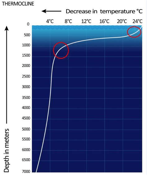 海水流速与温度表格