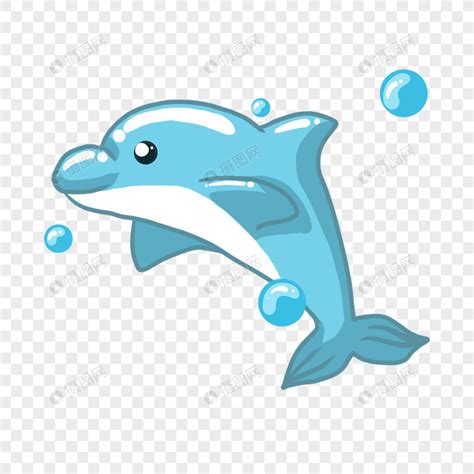 海豚图片卡通可爱