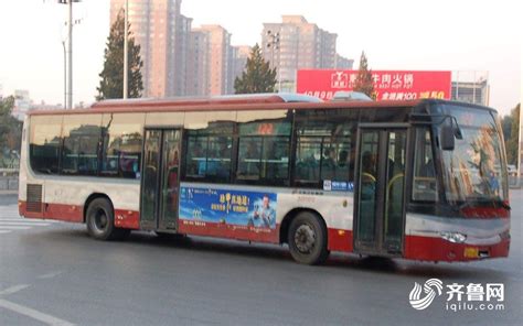 淄博556路公交车