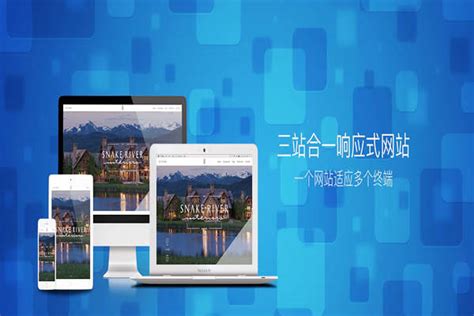 深圳专业网站建设制作价格低