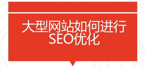 深圳大型网站优化成功案例
