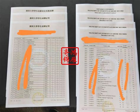 深圳如何打印成绩证书