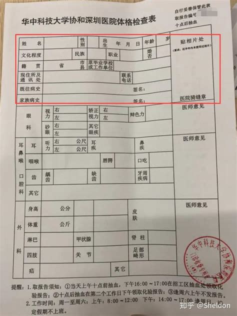 深圳市入职体检报告单