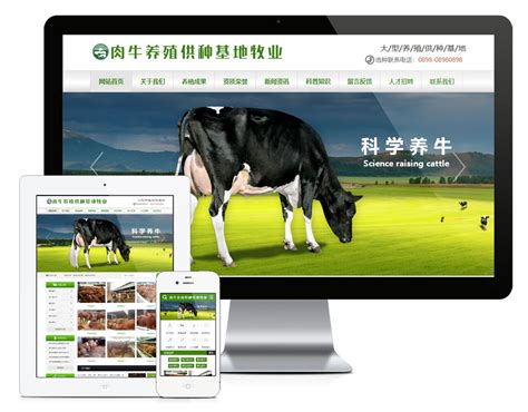 深圳畜牧网站建设比较好的