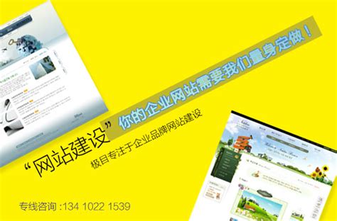 深圳龙华做一个网站设计