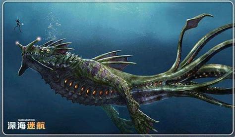 深海 未知神秘巨兽