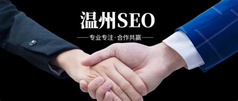 温州seo推广服务公司