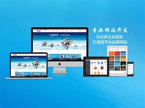 渭南网站开发收费