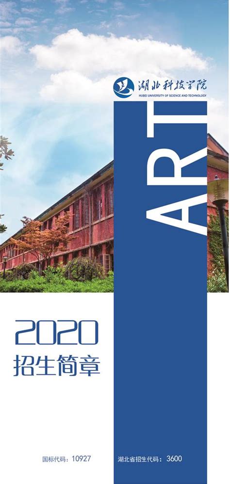 湖北美术学院招生简章2020