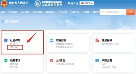 湖北襄阳政务服务网查询系统