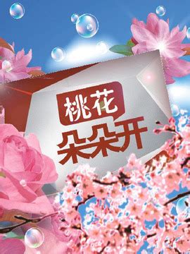 湖南娱乐频道直播桃花朵朵开