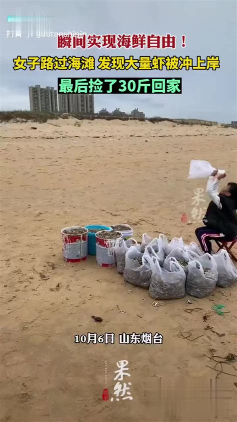 烟台一女子沙滩捡30斤虾