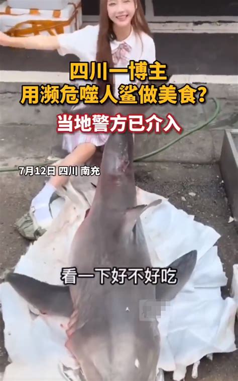 烹食大白鲨网红判刑