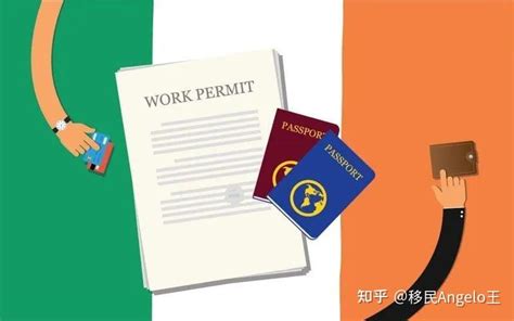 爱尔兰留学生回国需要什么条件
