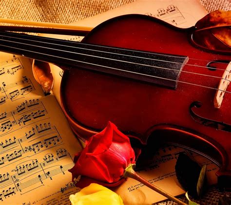 爱的创可贴小提琴背景音乐