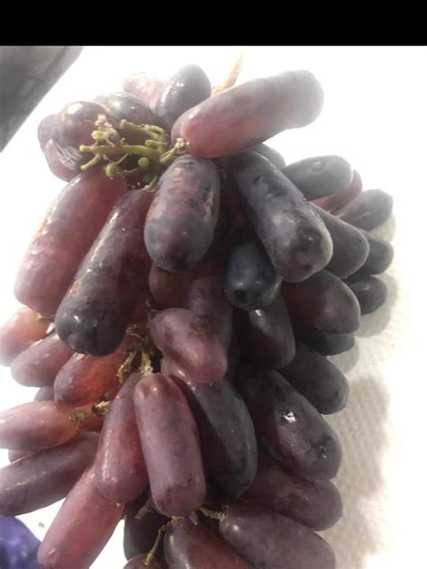 爱马仕葡萄多少钱一斤