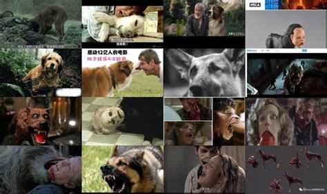 狗吃人电影美国